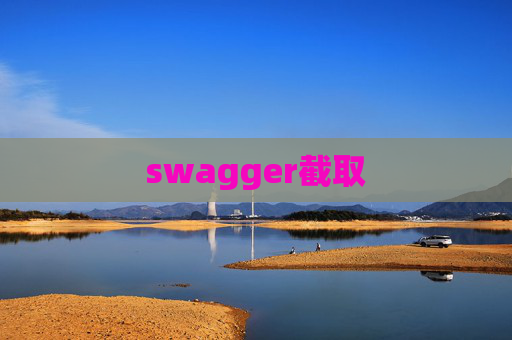 swagger截取